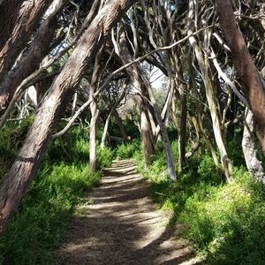 Meet your Posher, Joanna